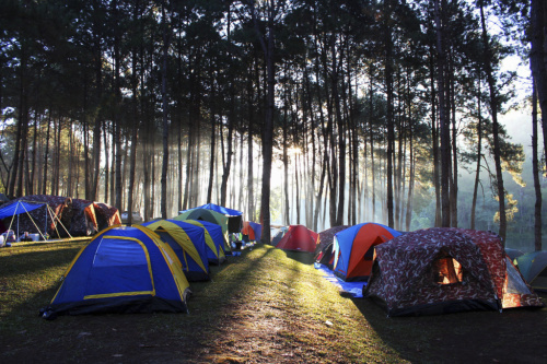 Гигиенические требования к палаточным лагерям для детского отдыха