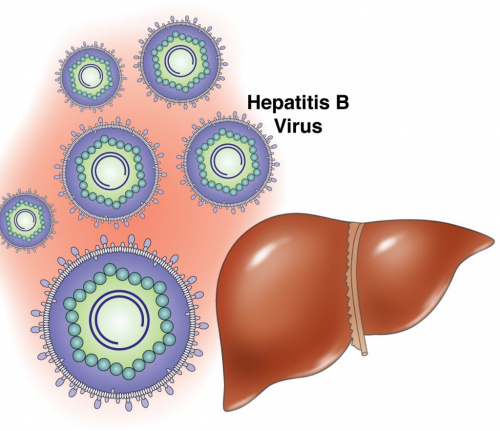 Вирусный гепатит В